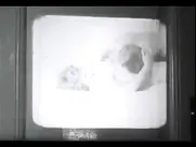 Sisse Reingaard - Gift aka Venom (1966) explicit vintage movie