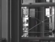Schindler's List Hot Sex Scene