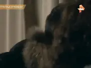 Aleksandra Bulycheva Nude Time Travel 2