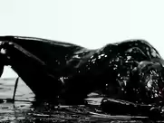 Neon Hitch - Fuck U Betta