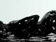 Neon Hitch - Fuck U Betta