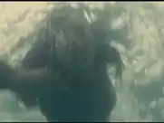 Laetitia Martinucci - Free Fall