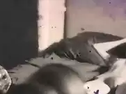 Bai Ling - The Key (2014)