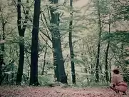 Girl pissing in wood