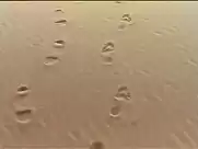 Myriam Mezieres - Le journal de Lady M (1993)