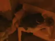 Paz de la Huerta - Enter the Void (2009)