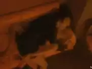 Paz de la Huerta - Enter the Void (2009)