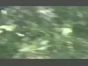 Outdoor blowjob from Muxmauschenstill (2004)