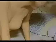 Patricia Chenut - Kassablanka (2002)