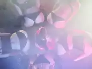 Fraules team - Wiggle