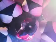 Fraules team - Wiggle