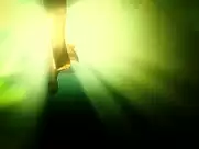 Measuring the World scenes