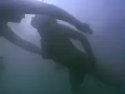 Kate Winslet - Iris (2001)