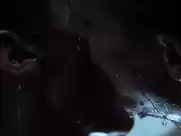 Susan Sarandon, Catherine Deneuve - The Hunger (1983)