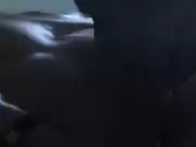 Susan Sarandon, Catherine Deneuve - The Hunger (1983)