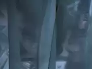 Susan Sarandon, Catherine Deneuve - The Hunger (1983)