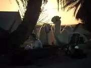 Nicole Kidman - Queen Of The Desert (2016)