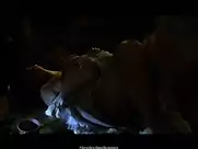 Dayana Legra, Ana Silvia Machado - Molina's Ferozz (2010)