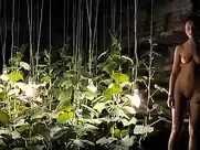 Nadezhda Tolubeyeva - Peremirie (2010)