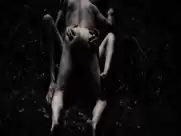 Willem Dafoe, Charlotte Gainsbourg - Antichrist (2009)