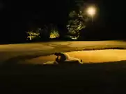 Kristen Dunst - Mellancholia (2011)