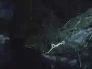 Kristen Dunst - Mellancholia (2011)