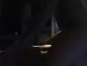 Sally Golan Girl's Guide to Depravity Season 1