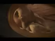 Stefania Sandrelli - La chiave (1983)