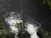 Emma Watson - Colonia (2015)