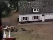 Annick Christiaens - Stronghold (1985)