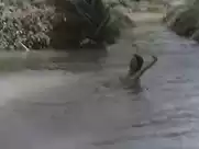 Rosa Gloria Vasquez - Savana violenza carnale (1979)