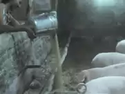 Silvia Aguilar - El carnaval de las bestias (1980)