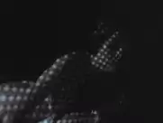 Silvia Aguilar - El carnaval de las bestias (1980)