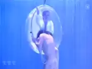 Armida Opera In Berlin