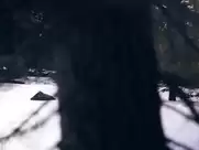 Gemma Donato - Sleeping Beauty (2014)