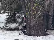 Gemma Donato - Sleeping Beauty (2014)