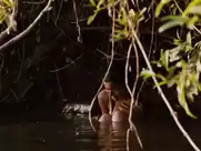 Diana Garcia, Paulina Gaitan - Sin Nombre (2009)