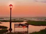 Sook-Yin Lee masturbation scene