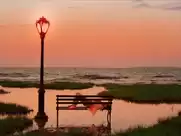 Sook-Yin Lee masturbation scene