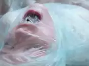 Nora Lili Hoerich - Szabadeses (2014)