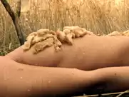 Jessica Sipos - Slasher s01e04 (2016)