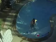 Sarah Baldwin - Slumlord (2015)