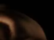 Milla Jovovich - Stone (2010)