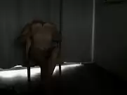 L Histoire De Richard O explicit scenes