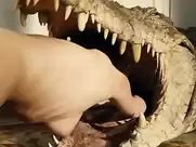 Brigitte Lo Cicero - L'exercice de l'État (2011)