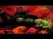 Cecilia Roth - Una noche con Sabrina Love (2000)