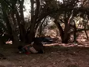 Jennifer Lopez - U Turn (1997)