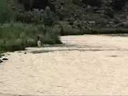 January Jones - Sweetwater (2013)