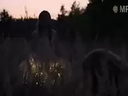 The summer of Sangaile (2015)