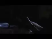 Myriam Mezieres - Fleurs de sang